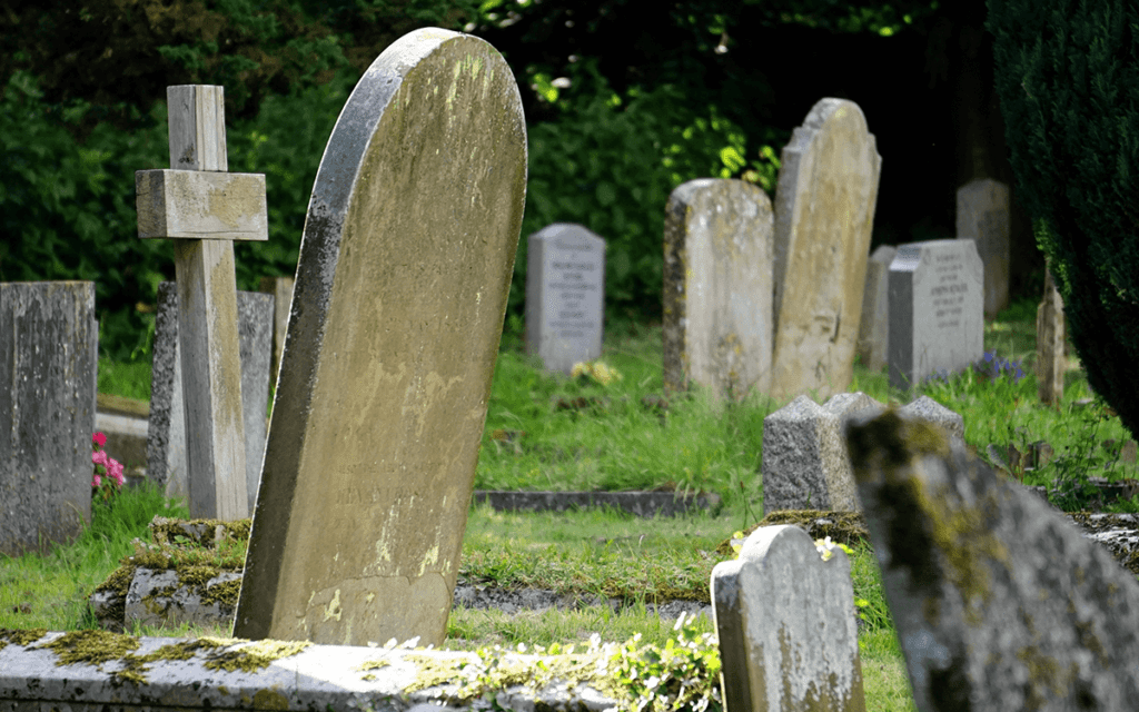 doctors that make the most money, Some will shock you Wolfionaire