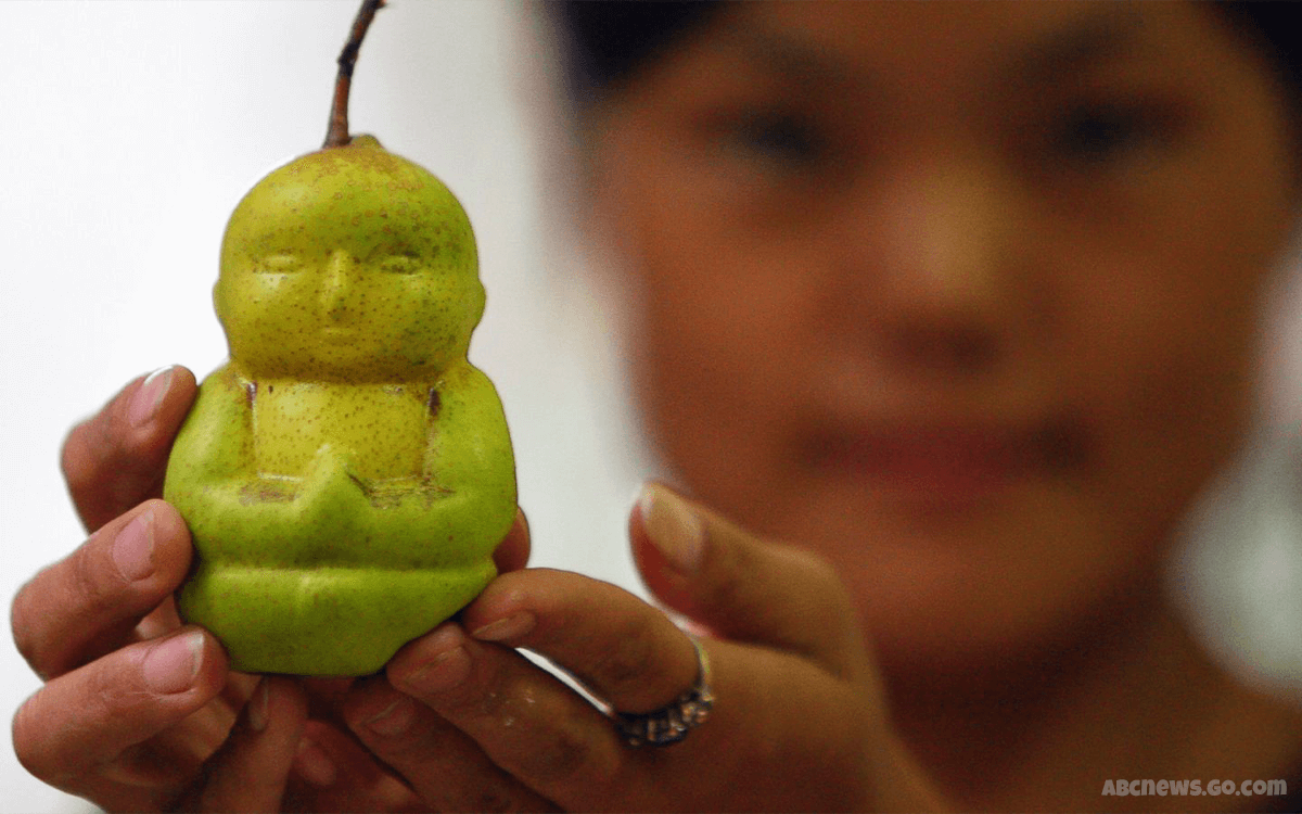 Buddha Shaped Pear Most Expensive Fruits
