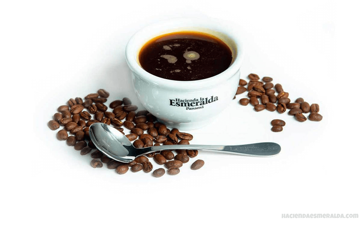 Hacienda la Esmeralda (Panama) world’s most Expensive Coffees