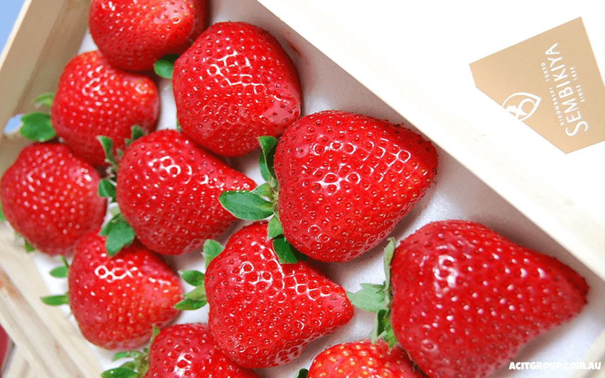 Sembikiya Queen Strawberries Most Expensive Fruits