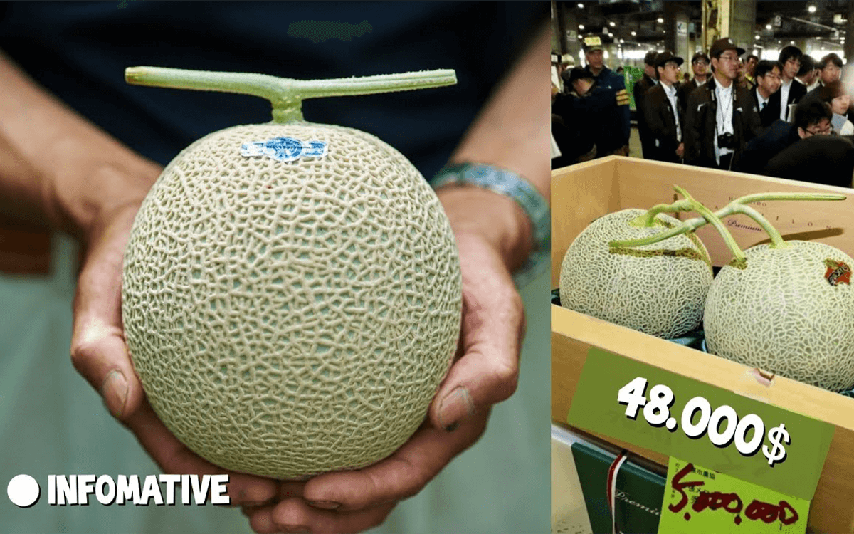TOP 15 Most Expensive Fruits of all time