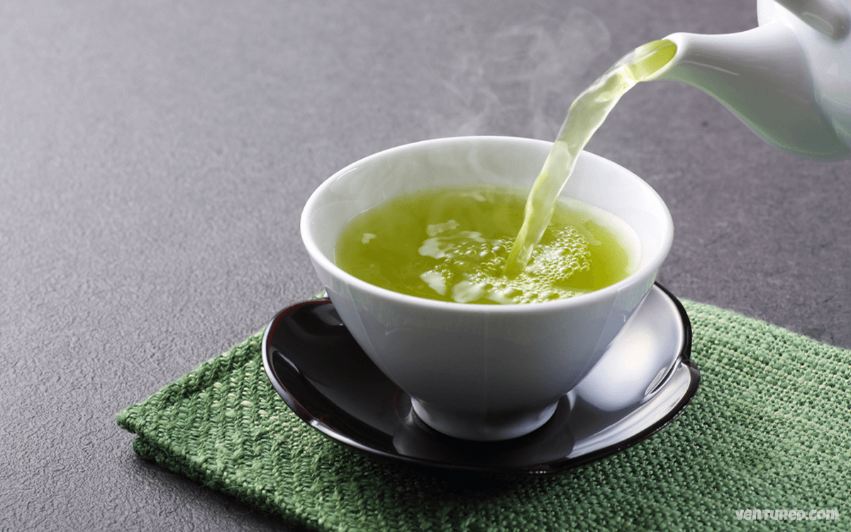TOP 11 Most Expensive Teas In The World