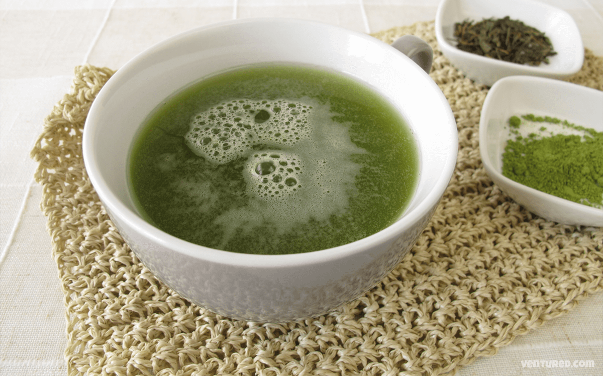 Tencha - Most Expensive Teas In The World