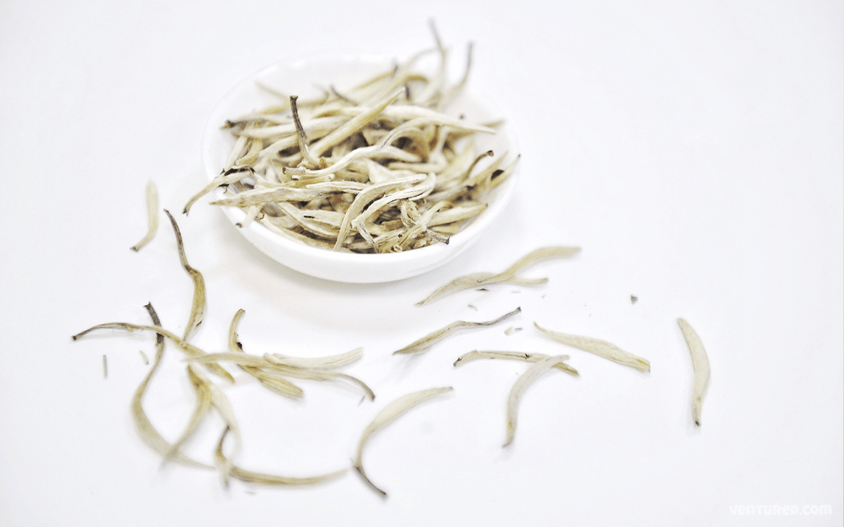 White Tea - Most Expensive Teas In The World