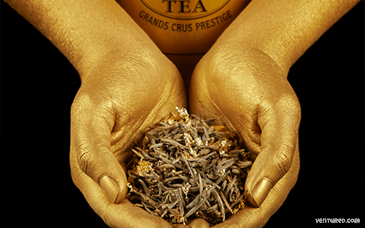 Yellow Gold Tea Buds - Most Expensive Teas In The World