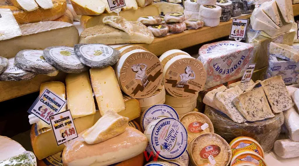 Unveiling The World'S Most Expensive Cheese The World's Expensive Cheese Is Made from Donkey Milk